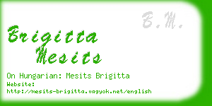 brigitta mesits business card